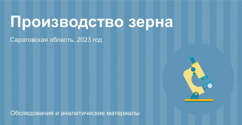 Производство зерна в Саратовской области в 2023 году